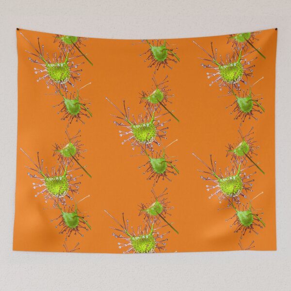 Item preview, Sparkling Sundew designed and sold by Anne-Maree Hunter.