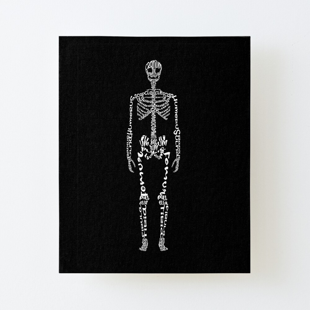 Skeleton bone names Poster for Sale by RaCharms | Redbubble