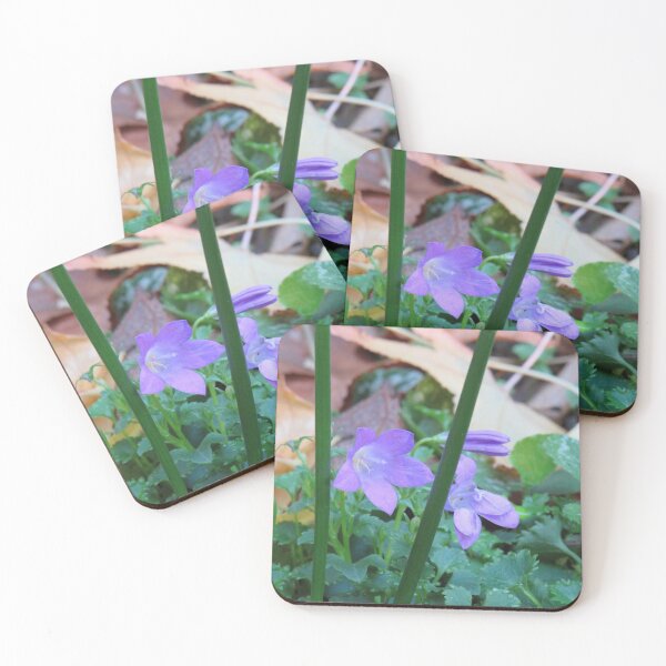 Item preview, Purple bellflowers designed and sold by greentiger1.