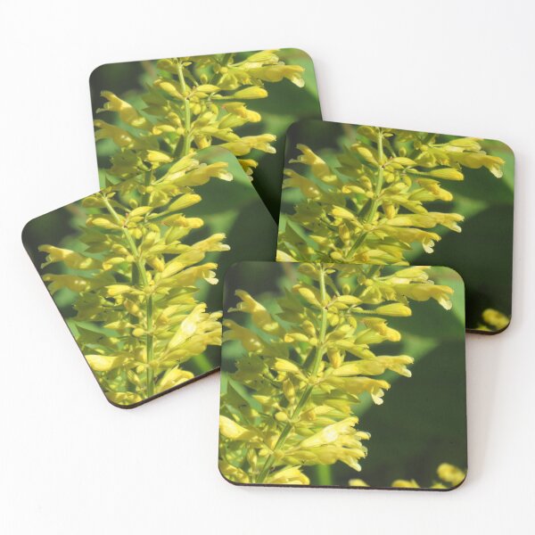 Item preview, Forsythia sage designed and sold by greentiger1.