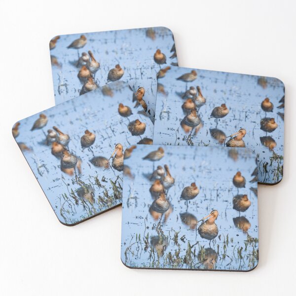 Item preview, Black tailed godwits designed and sold by Anita van Gendt.
