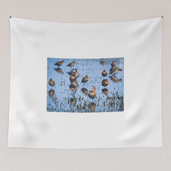 Item preview, Black tailed godwits designed and sold by Anita van Gendt.