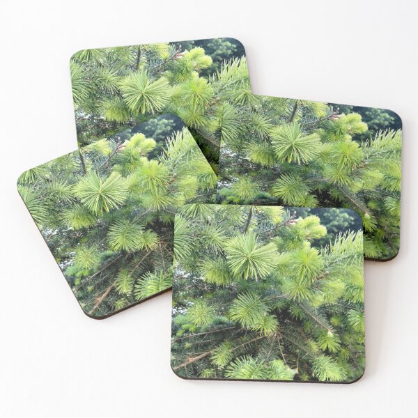 Item preview, Young Pine Greens designed and sold by TeaFairy Art.