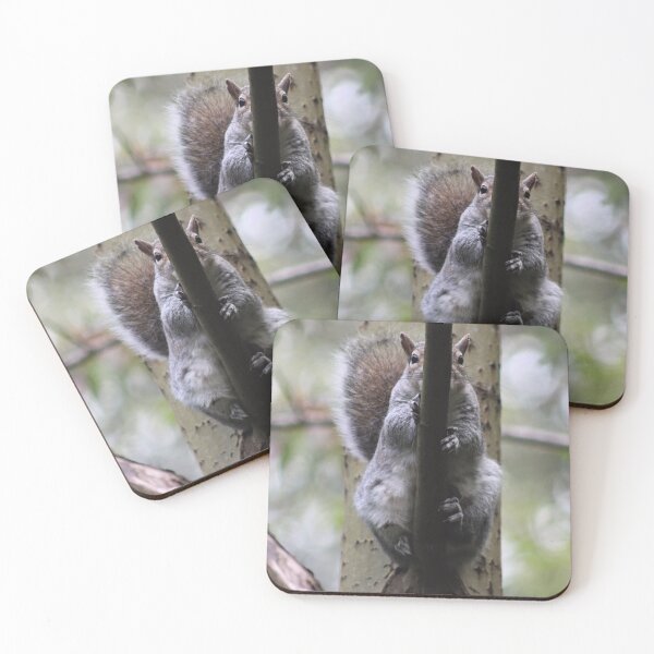 Item preview, Easy Does It designed and sold by Ladymoose.