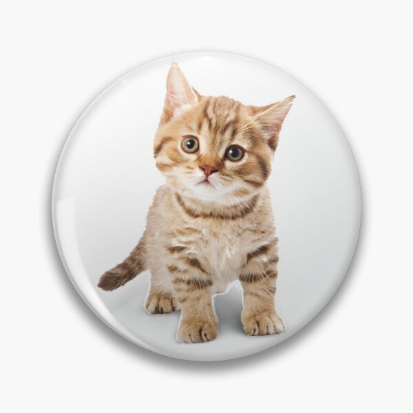 Item preview, Cat Lovers designed and sold by AceBuster.