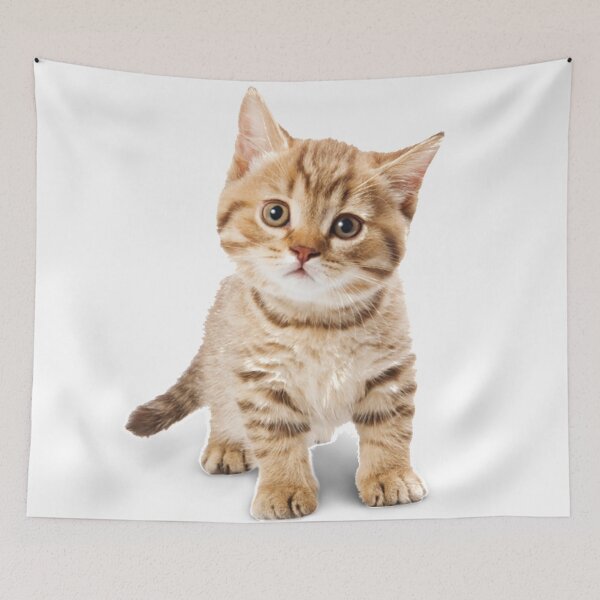 Item preview, Cat Lovers designed and sold by AceBuster.