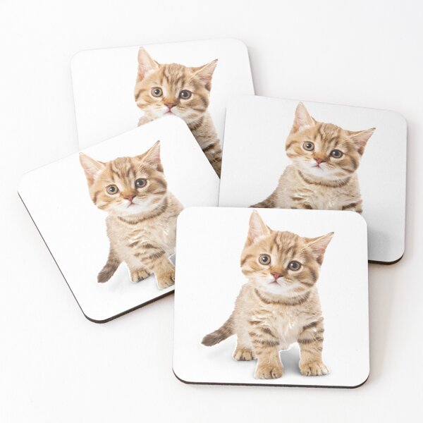 Item preview, Cat Lovers designed and sold by AceBuster.