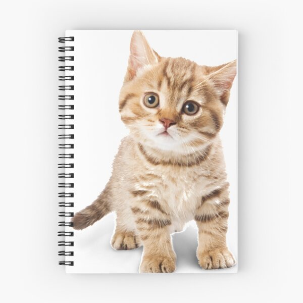 Item preview, Cat Lovers designed and sold by AceBuster.