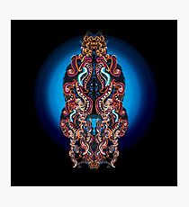 PSYTRANCE Photographic Print