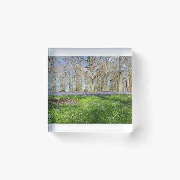 Item preview, Walk through the Bluebells designed and sold by Jim Key.