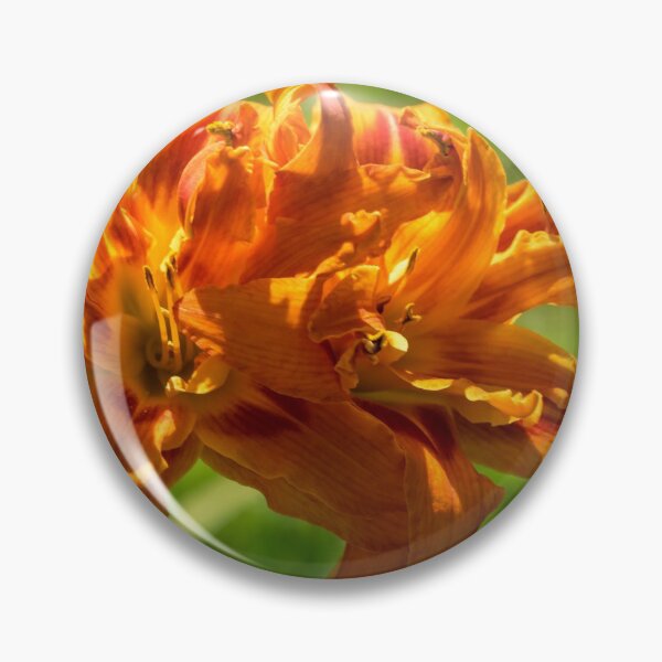 Item preview, Happy Orange Ruffles - Boldly Colored Daylilies Duo in Bloom designed and sold by Georgia Mizuleva.