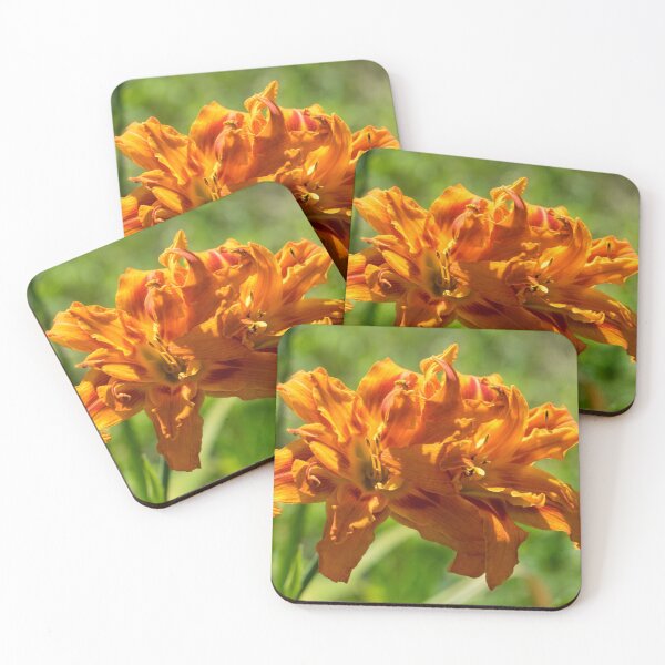 Item preview, Happy Orange Ruffles - Boldly Colored Daylilies Duo in Bloom designed and sold by Georgia Mizuleva.