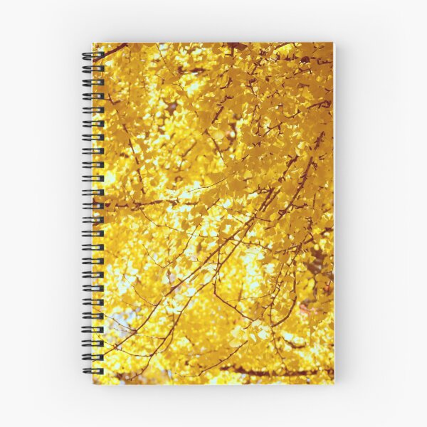 Aperçu de l'œuvre Ginkgo ensoleillé à l'automne créée et vendue par Liza Williams.