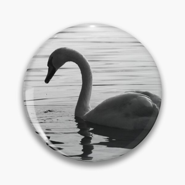Item preview, Black & White Swan Photo designed and sold by Ruth Rogers.