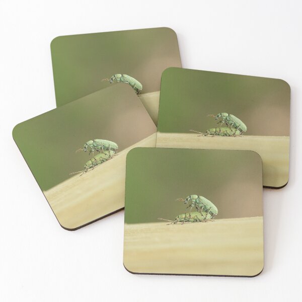 Item preview, Nettle weevil designed and sold by NW-Photo-Art.