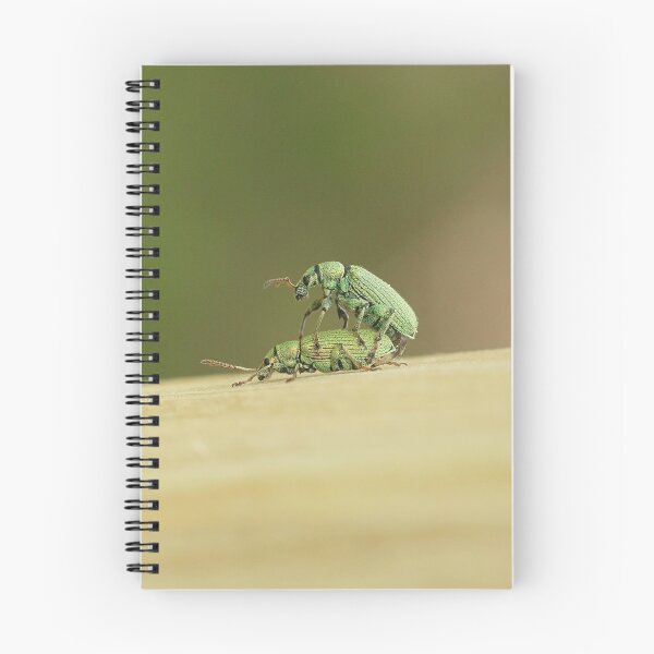 Item preview, Nettle weevil designed and sold by NW-Photo-Art.