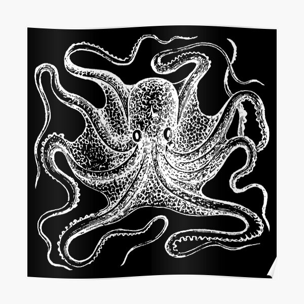 Angry Octopus Poster For Sale By Treasure Crafts Redbubble 6380