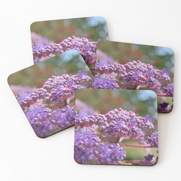 Item preview, A Bee On Hydrangea designed and sold by Ruth Rogers.