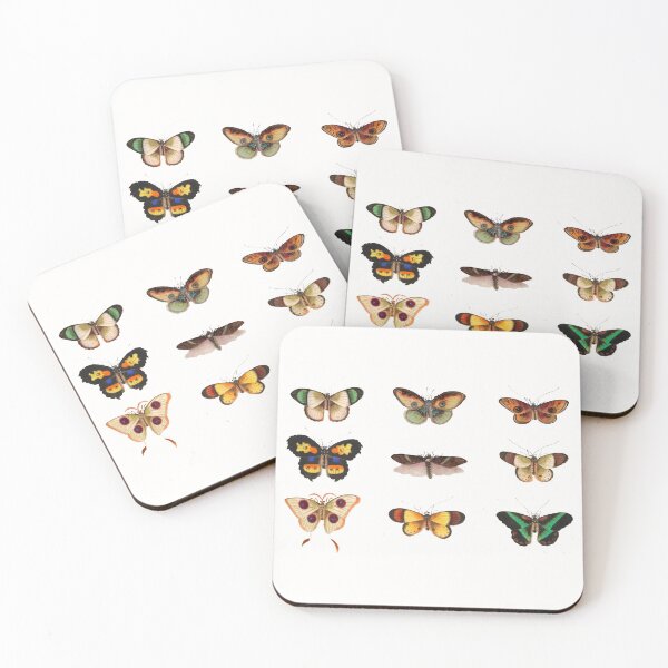 Item preview, National moth week designed and sold by AestheticabyA.