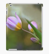 Springtime tulips iPad Case/Skin