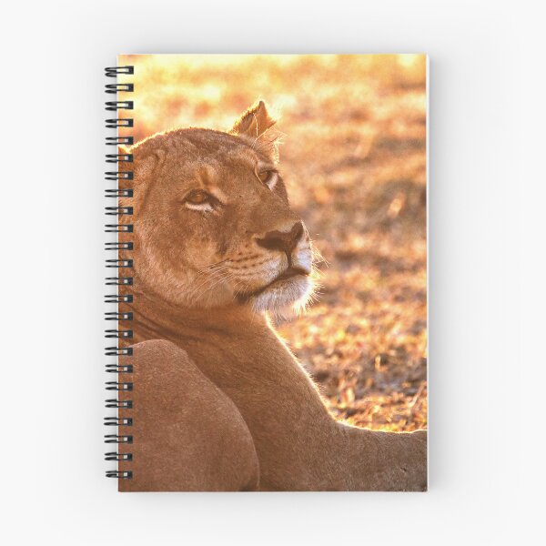 Item preview, The Morning Glow Before The Hunt designed and sold by Michael Moss Photography.