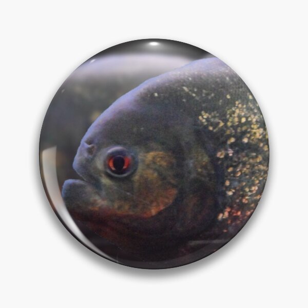 Item preview, Piranha designed and sold by Sebak1979.