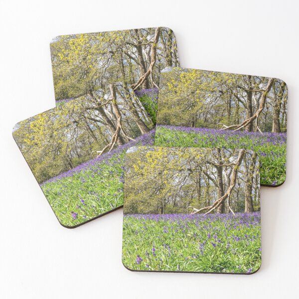 Item preview, Bluebell Wood  designed and sold by grumpykeith.