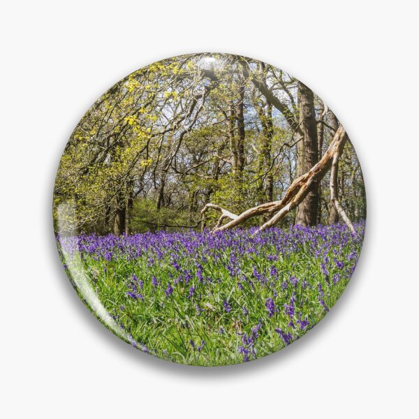 Item preview, Bluebell Wood  designed and sold by grumpykeith.