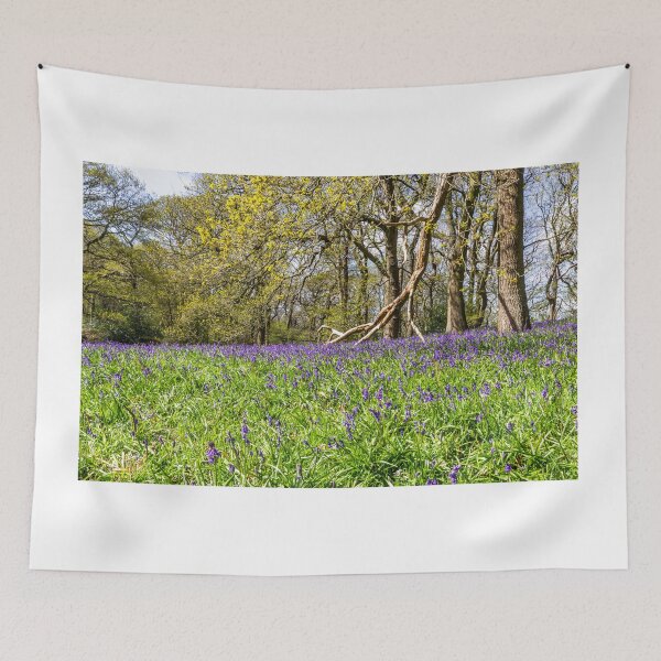 Item preview, Bluebell Wood  designed and sold by grumpykeith.