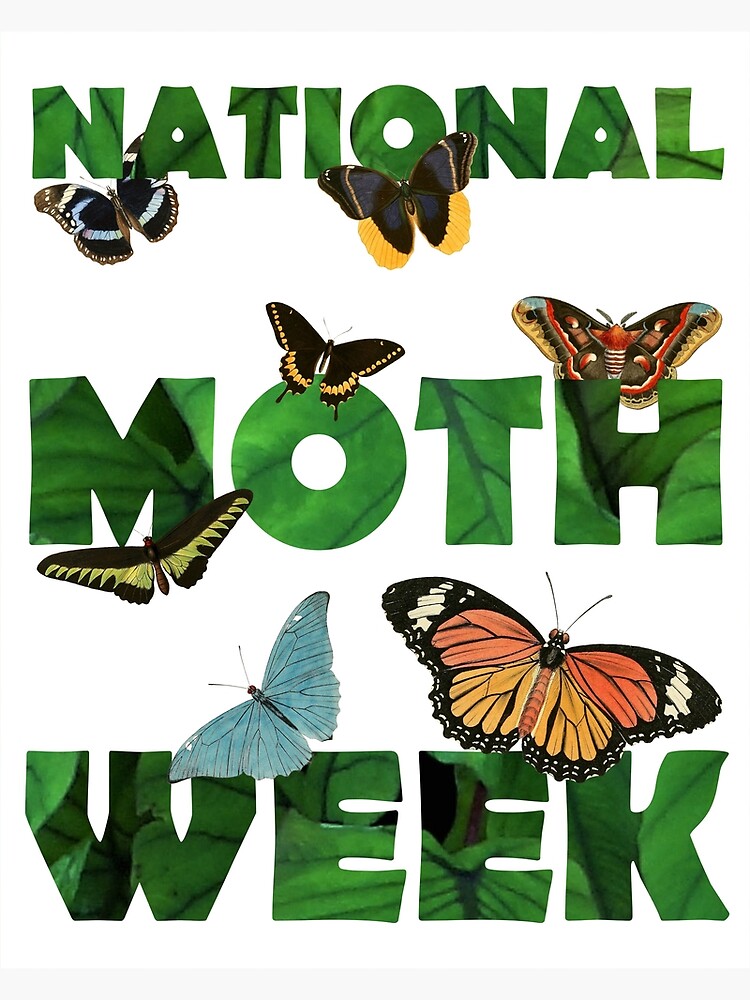 "National Moth Week" Poster for Sale by mrtraz Redbubble