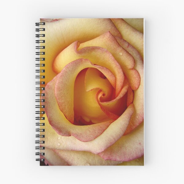 Item preview, Sunny Hill Rose designed and sold by dps7777.
