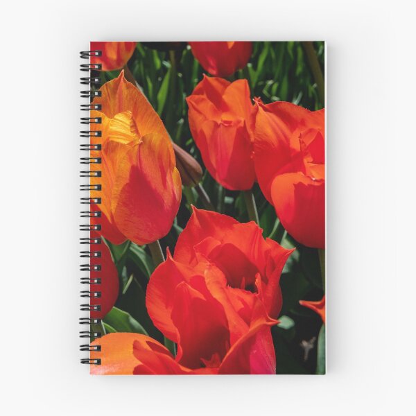 Item preview, Tulips Red designed and sold by barkeypf.