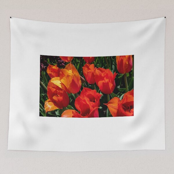 Item preview, Tulips Red designed and sold by barkeypf.