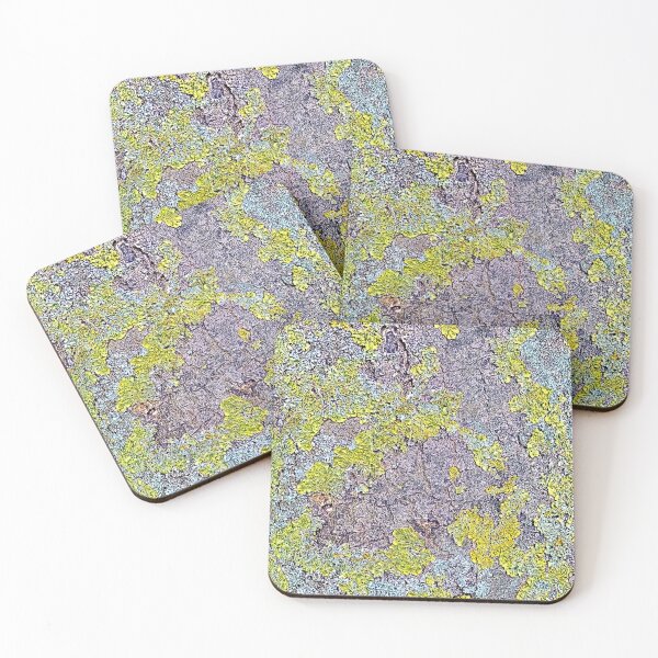 Item preview, Lichen on tree trunk designed and sold by paulboizot.