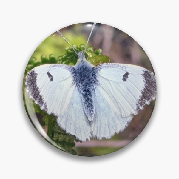 Item preview, White butterfly designed and sold by Fluffycat2020.