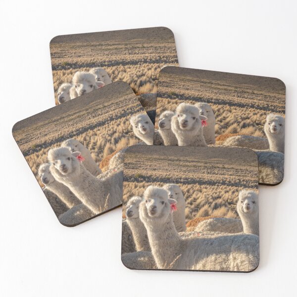 Item preview, Curious alpacas designed and sold by Delphimages Art.