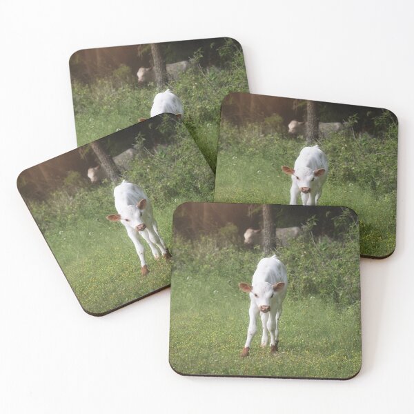 Item preview, Exploring designed and sold by Kristi Johnson.