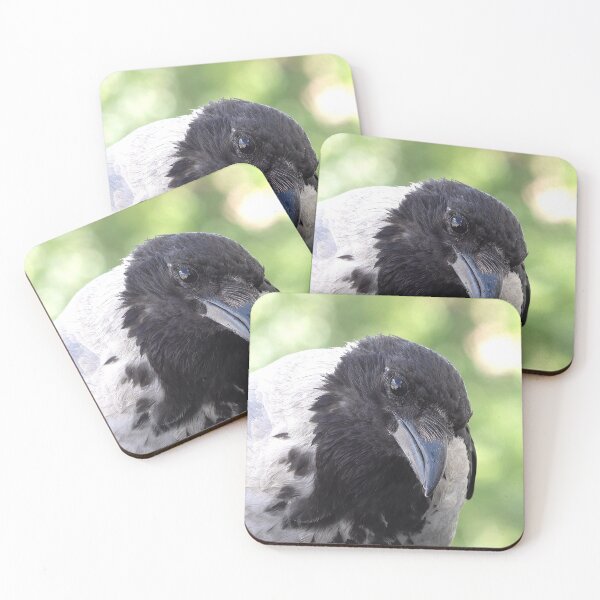 Item preview, crow designed and sold by Babbler01.