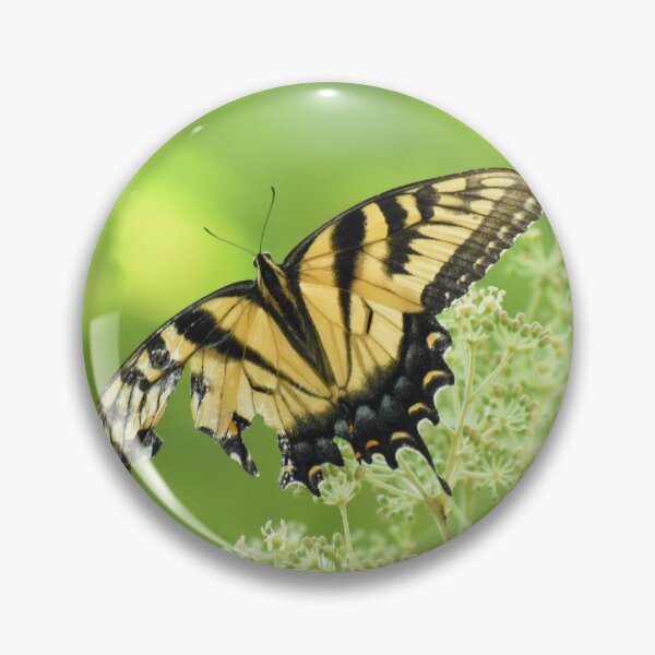 Item preview,  Tiger Swallowtail Butterfly 2021 designed and sold by Tonia Delozier's Photography .