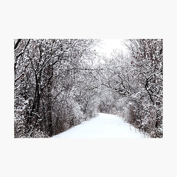 On the Winter Path Photographic Print