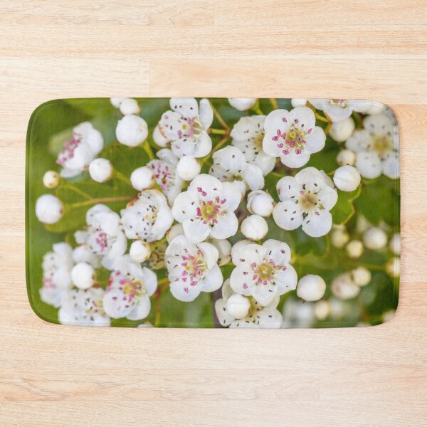 Item preview, Small White Blossoms designed and sold by Dave Hare Photography.