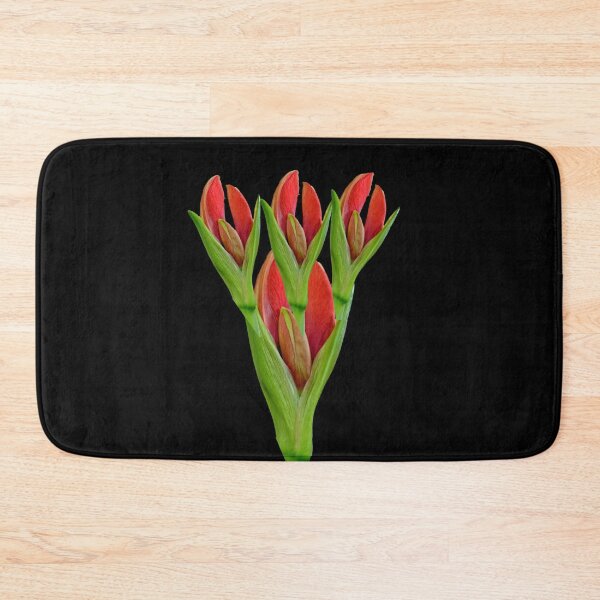 Item preview, Amaryllis Buds designed and sold by doodle3Dandy.