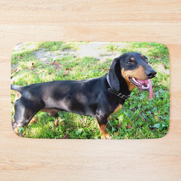 Item preview, dachshund designed and sold by Babbler01.