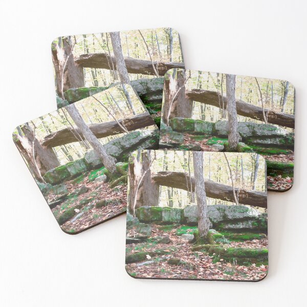 Item preview, Beaver Trail designed and sold by Shulie1.