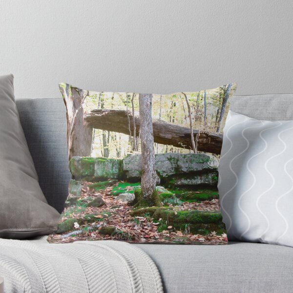 Item preview, Beaver Trail designed and sold by Shulie1.