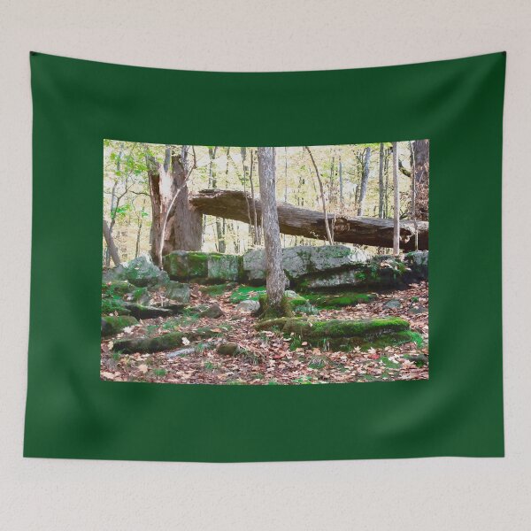 Item preview, Beaver Trail designed and sold by Shulie1.