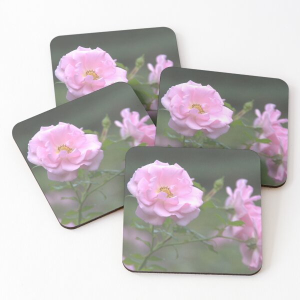 Item preview, Pink rose designed and sold by Babbler01.
