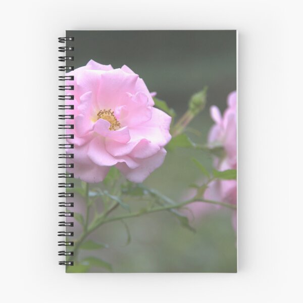 Item preview, Pink rose designed and sold by Babbler01.