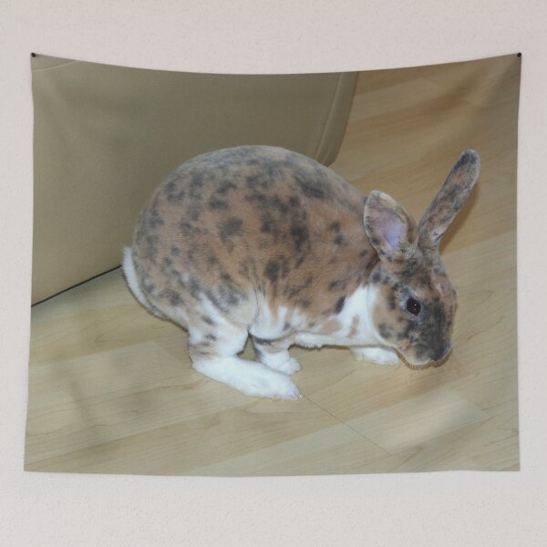 Item preview, Kleinrex rabbit designed and sold by Babbler01.