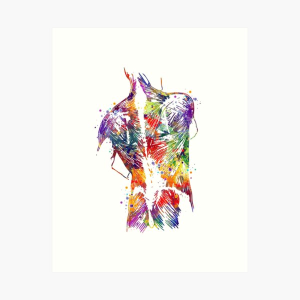Item preview, Human Back With Muscles Colorful Watercolor Gift designed and sold by LotusGifts.